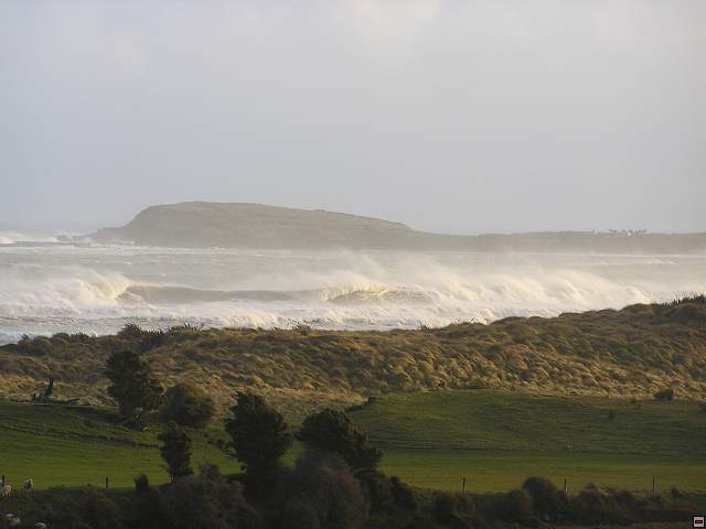 The Catlins Coast 036.jpg